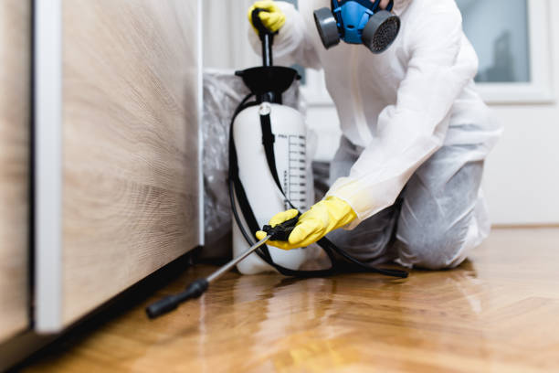 Best Commercial Pest Control Services  in Cairo, IL