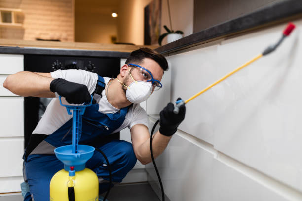 Best Pest Control Near Me  in Cairo, IL
