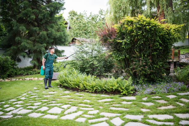 Best Ant Control Services  in Cairo, IL