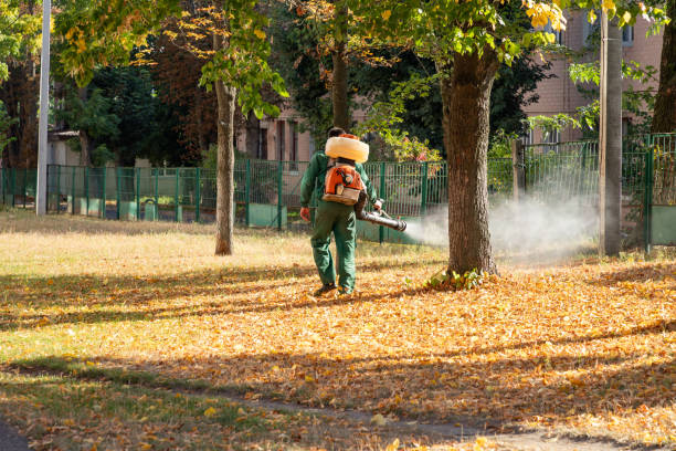 Pest Prevention Services in Cairo, IL